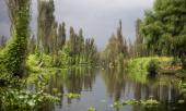 Xochimilco lake, 2019