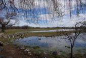 flooded plains at Abraham Gonzales, 2015