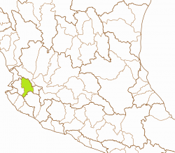 Allodontichthys polylepis basin 