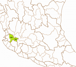 Allotoca goslinei basins