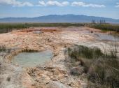 Habitat of Crenichthys cf. nevadae