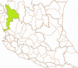 Characodon lateralis basin
