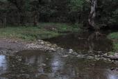 affluent of the Presa Cocula, 2018
