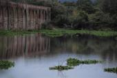 Presa Cofradia de la Luz, 2018