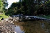 Rio Pihuamo, 2019