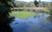 spring in La Estancia de Ayones, 2016