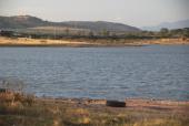 Presa La Quemada, 2016