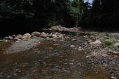 Rio Pihuamo, 2019