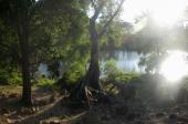 Cuyacapán spring, Laguna de Sayula drainage, 2016