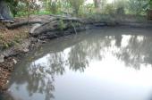 El Molino pond next to the Cuyacapán spring, Laguna de Sayula drainage, 2016