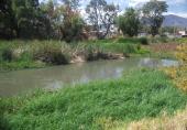 Río Grande de Santiago near Poncitlán, 2016