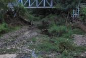Arroyo Tamazulita, 2019