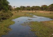 Río Guanajuato north of Irapuato, 2017