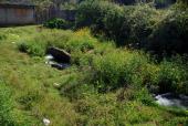 effluent from the Estanque de Condembas, Opopeo, 2017