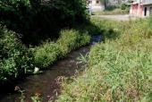 effluent from the Estanque de Condembas, Opopeo, 2017