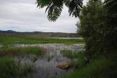 Laguna Palo Verde, 2018