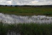 Laguna Palo Verde, 2018