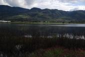 Laguna Palo Verde, 2018