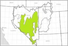 Empetrichthys merriami basin