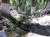 spring system in Moctezuma, 2014