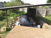 effluent from the Estanque de Condembas, Opopeo, 2014