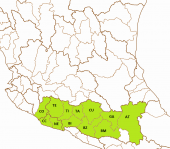 Ilyodon whitei basins