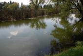 Lago Zacapú, 2014