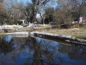 spring in Los Berros, 2015