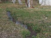 outflow of the lagoon in Amado Nervo, 2015
