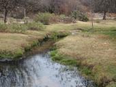 spring outflow in Atotonilco, 2015