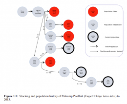 Population history of the Pahrump Poolfish