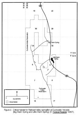 Site at Duckwater in detail