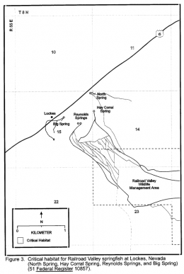Site at Locke's in detail