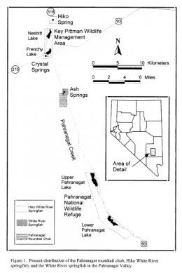 Pahranagat Valley Springs