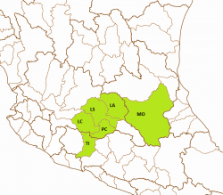 Skiffia lermae basins