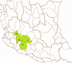 Skiffia multipunctata basins
