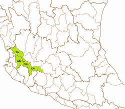 "Xenotoca" cf. melanosoma basins