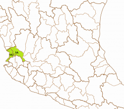 "Xenotoca" eiseni basins