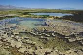 Habitat of Crenichthys cf. nevadae