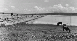 South shore of the Cuitzeo lake