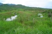 pond near San Marcos, 2004